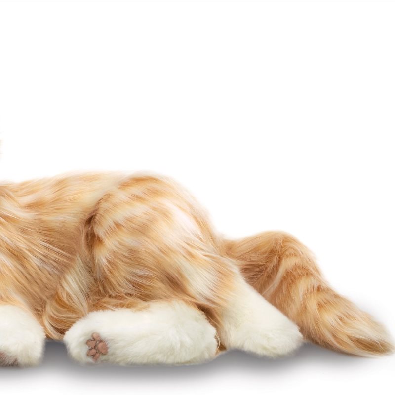 COMPANION PET CAT